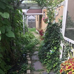 💕LIVE SHOW NOTIFICATION🌺